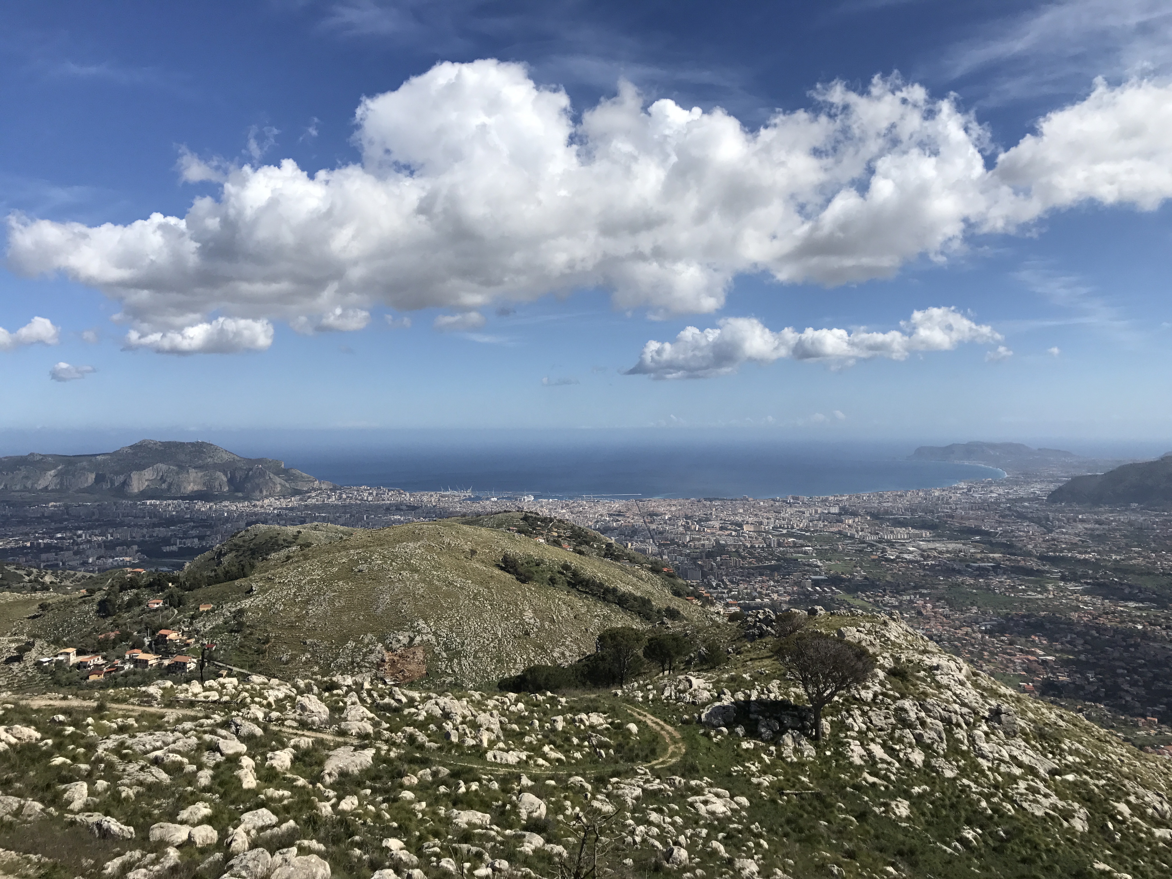 Visite guidate per piccoli gruppi, itinerari a PalermoPalermo City Guides